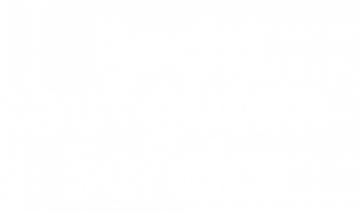 RAGS_w.png